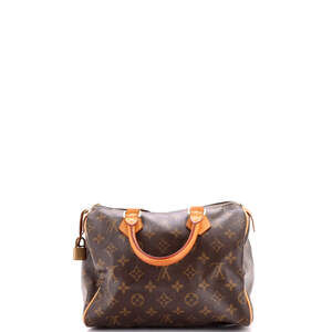 Louis Vuitton Speedy Handbag Canvas 25 #244893L15B